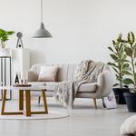 Zarqaa Interior Fitout - photo 2