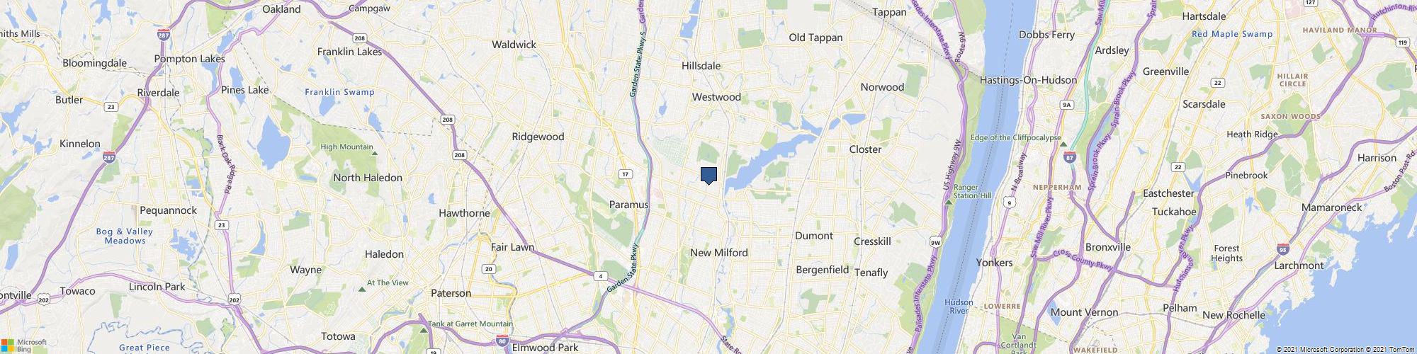 Narcisa Painting cover photo