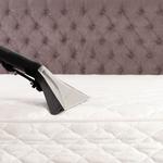 esfesrfe tetewefertger  - photo 3