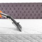 esfesrfe tetewefertger  - photo 4