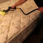 esfesrfe tetewefertger  - photo 5