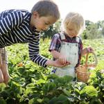 Footsteps Early Learning Centre - photo 3