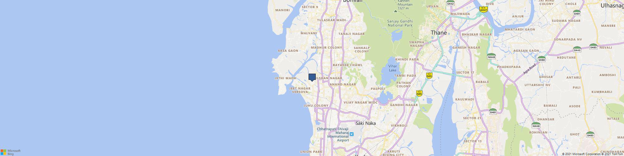 bigimpex cover photo