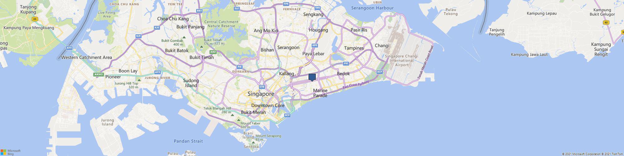 Pet Me Please SG cover photo