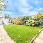 Daniel Brewer Estate Agents - photo 6