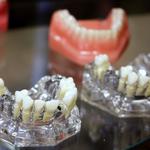 Alpha Dental Excellence - photo 7