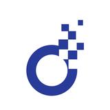 SEO Audit Software - Professional Services in New York