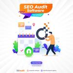 SEO Audit Software - photo 1