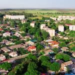 Service Specialties, Inc. - photo 7