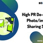 SEO Bulk Site - photo 2