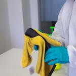 Optima Steamer Australia - photo 4