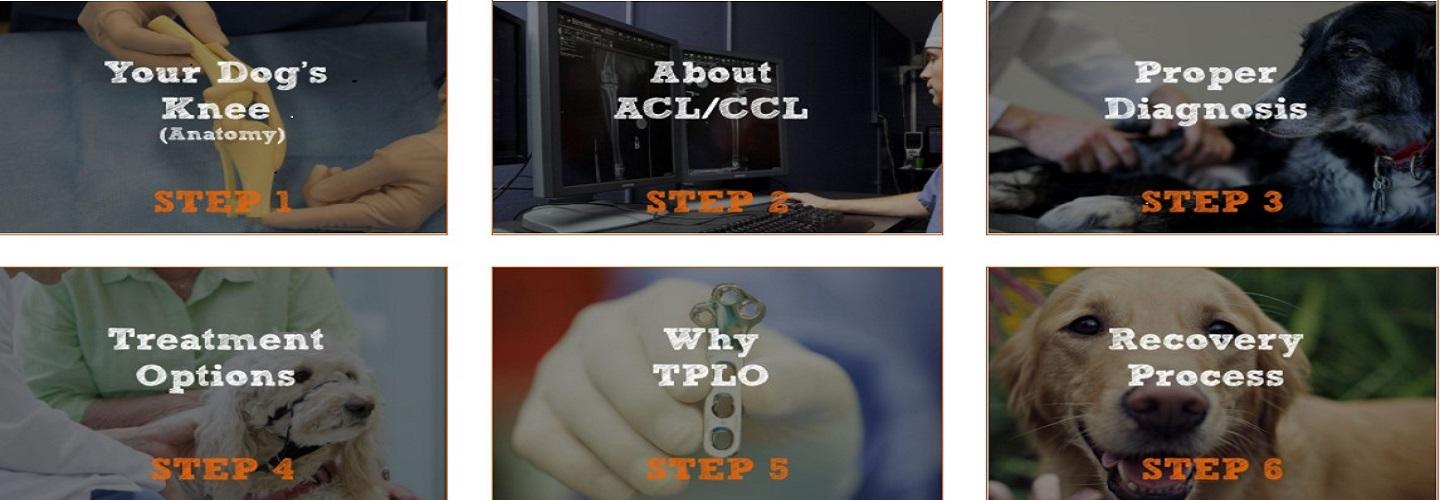 TPLO Chicago cover photo