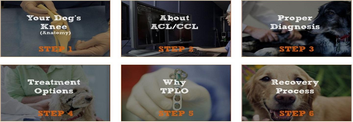 TPLO Orange County cover photo