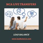 Lead Balance - photo 2