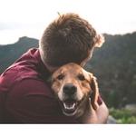 Genuine Canine - photo 1