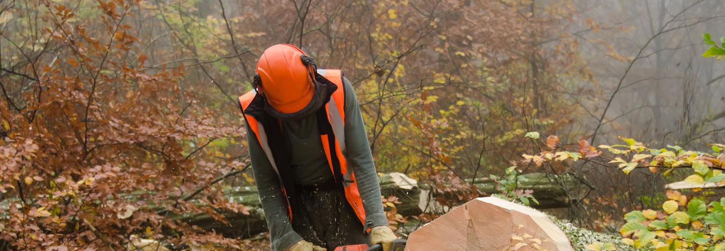 J & H TREE LOPPING cover photo