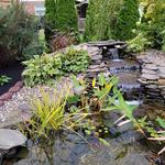 Quality Resolutions LLC - photo 2