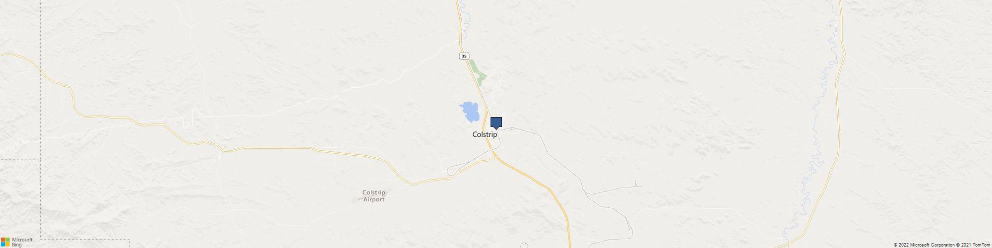 Eternal Taxidermy cover photo