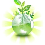 Garden Waste Away - photo 2