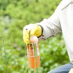 VermiCure Pest Control - photo 2