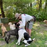 Happy Tails of South Jersey - photo 1