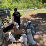 Happy Tails of South Jersey - photo 2