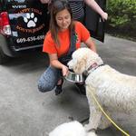 Happy Tails of South Jersey - photo 4