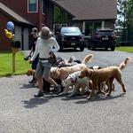 Happy Tails of South Jersey - photo 5