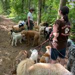 Happy Tails of South Jersey - photo 6