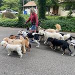 Happy Tails of South Jersey - photo 7