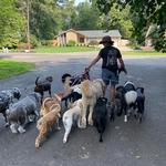 Happy Tails of South Jersey - photo 8