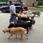 Happy Tails of South Jersey - photo 9