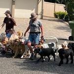 Happy Tails of South Jersey - photo 10