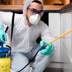 New Smyrna Beach Pest Control Solutions - photo 4