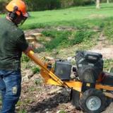 Tree Service Santa Cruz - Tree Services in Santa Cruz