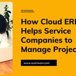 Cloud ERP Software | Averiware - photo 3