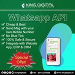 StaticKing - photo 1