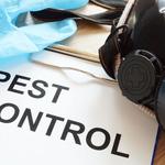 Jupiter Pest Control Solutions - photo 1