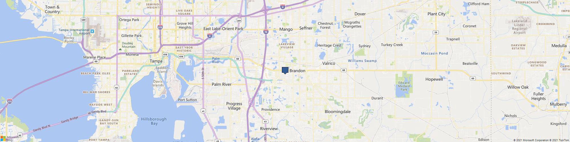 Panorama Tree Care: Tampa Tree Services cover photo