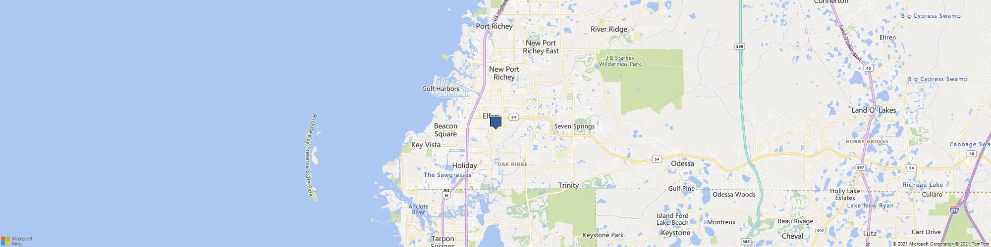 Morris Tree Service cover photo