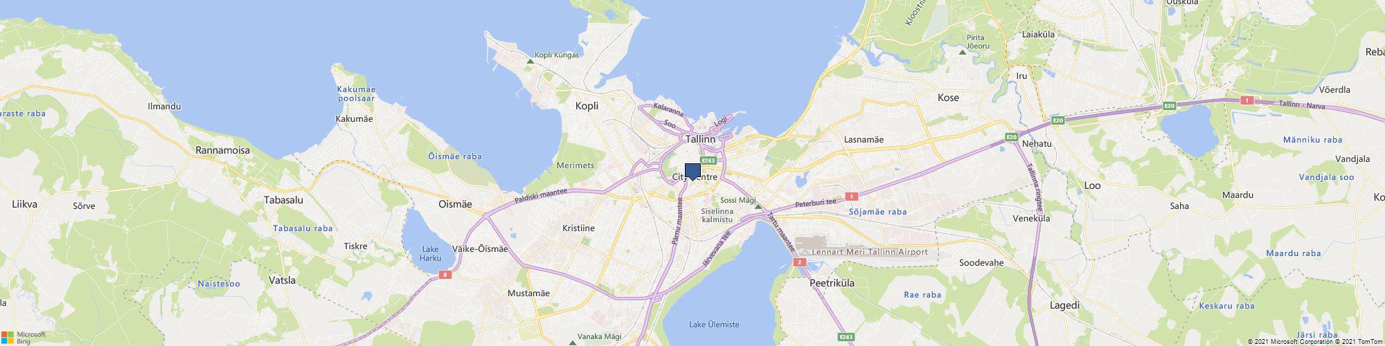 My Palm Leaf cover photo