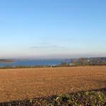 The Horse & Jockey Manton - photo 1