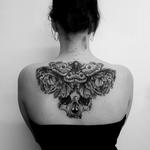 Ecdysis Studio - photo 1