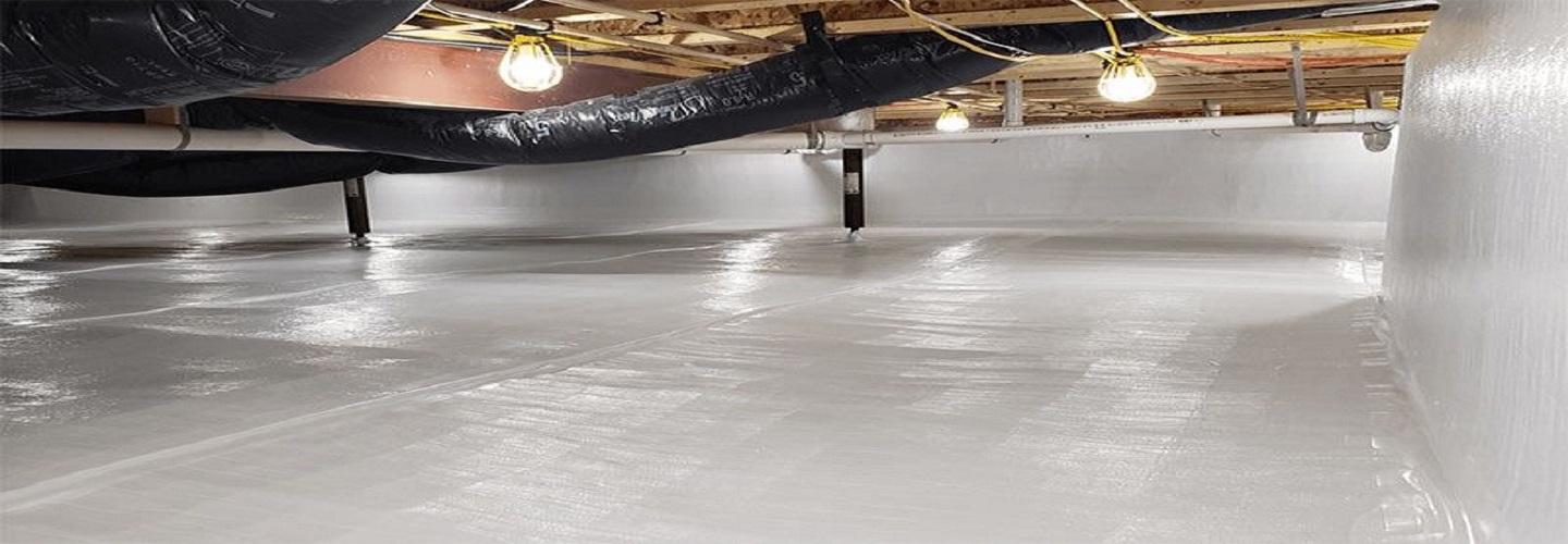 Crawl Logic cover photo