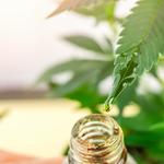 CBD Stardawg Cagnes sur Mer - photo 2