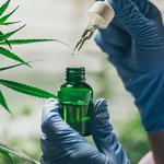 CBD Stardawg Cagnes sur Mer - photo 3