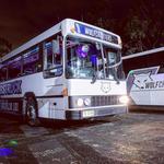 Wolf Charter Party Bus Hire - photo 3