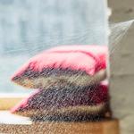 Bio Clean Melbourne - photo 5