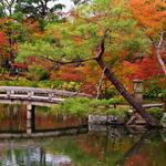 A. Picardo ART - photo 2