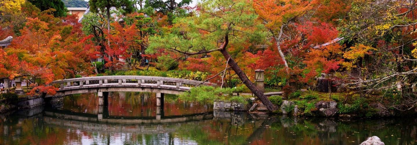 A. Picardo ART cover photo